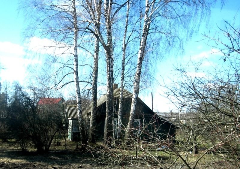 Бюст